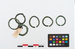 Foto von Bronzering (NHMW-PRAE-024669)